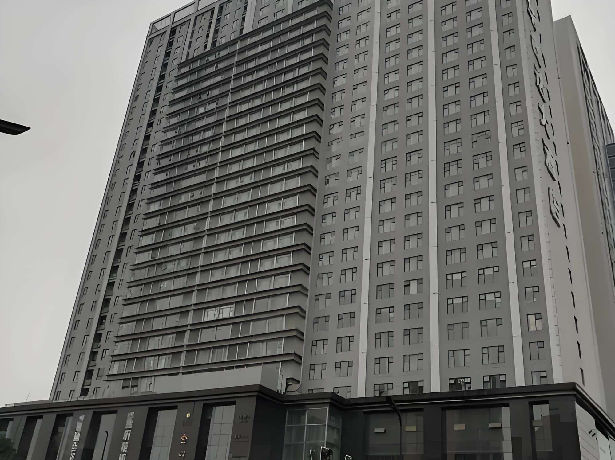 金府国际